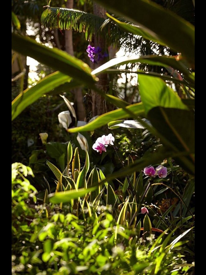 Vila Porto Mare - Jardins